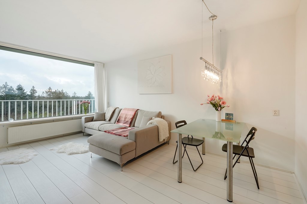 Anna Paulownalaan 172_31.jpg